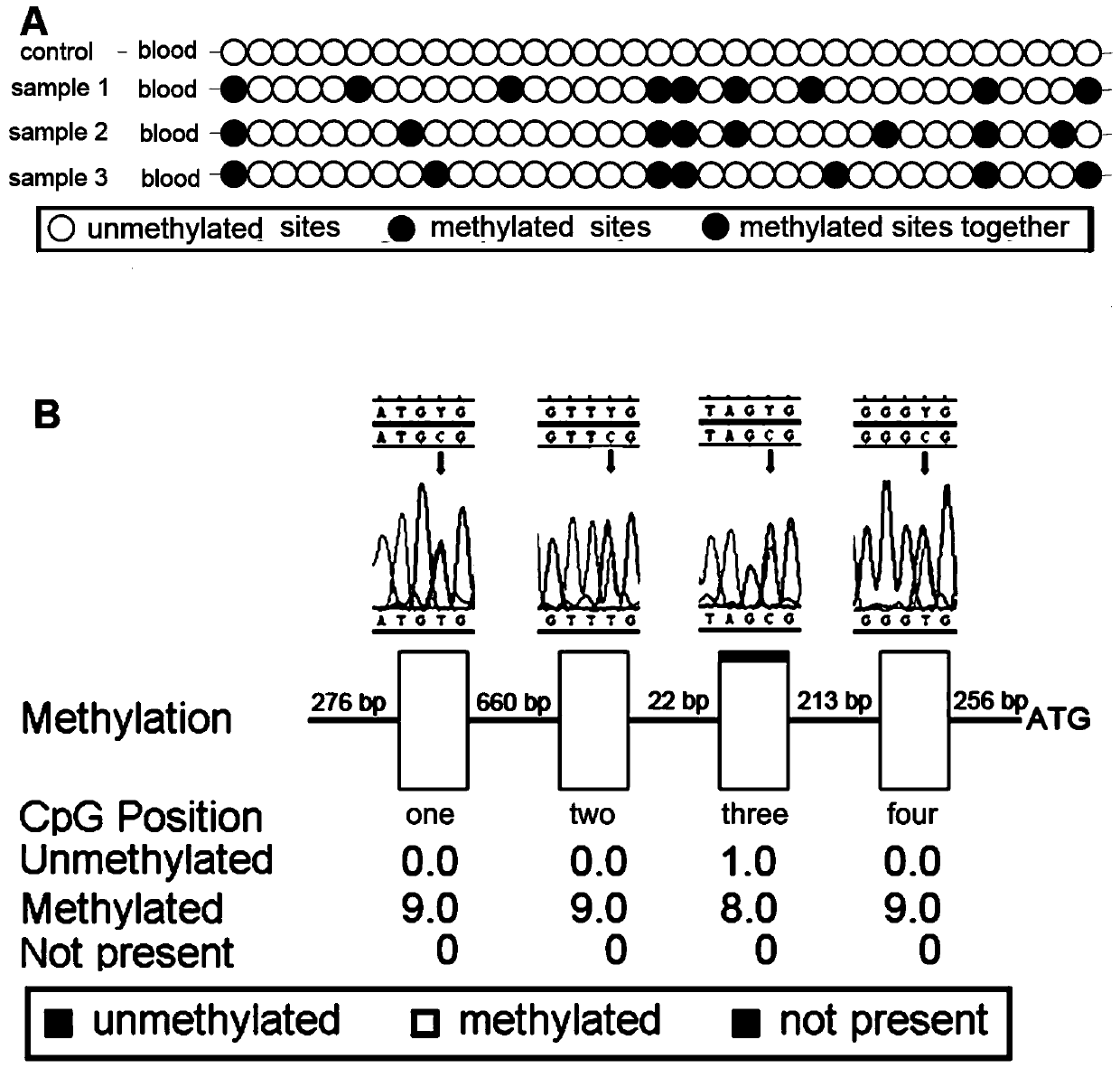 Genomic imprinting subtype hemangioblastoma diagnosis kit