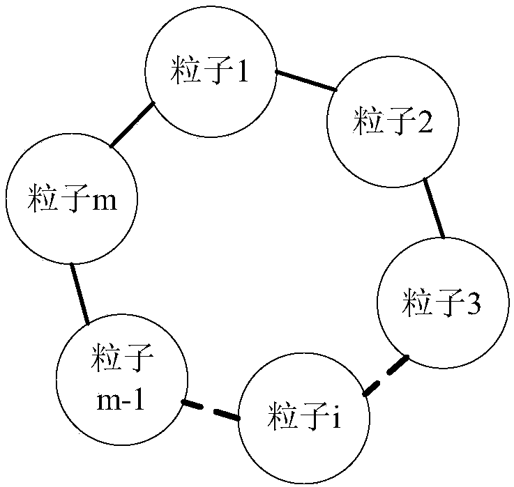 Random drift particle swarm optimization method having von Neumann structure