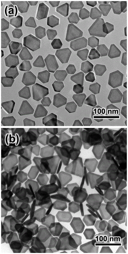 A kind of silver-gold nanosheet based on core-shell structure of epitaxial growth and its preparation method and application