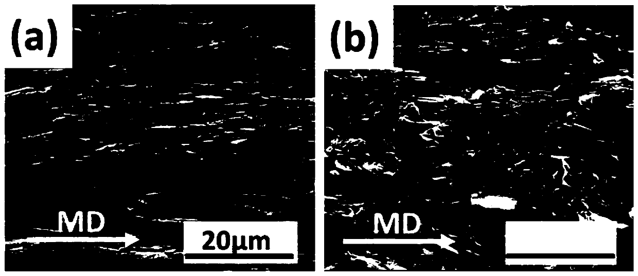 Anisotropic conductive and thermally conductive polymer composite material and preparation method thereof