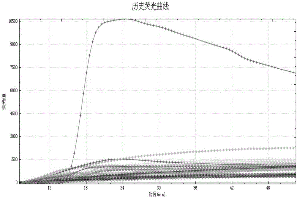 LAMP primer combination for detecting seven types of drug-resistant genes resisting carbapenem antibiotics and application of LAMP primer combination