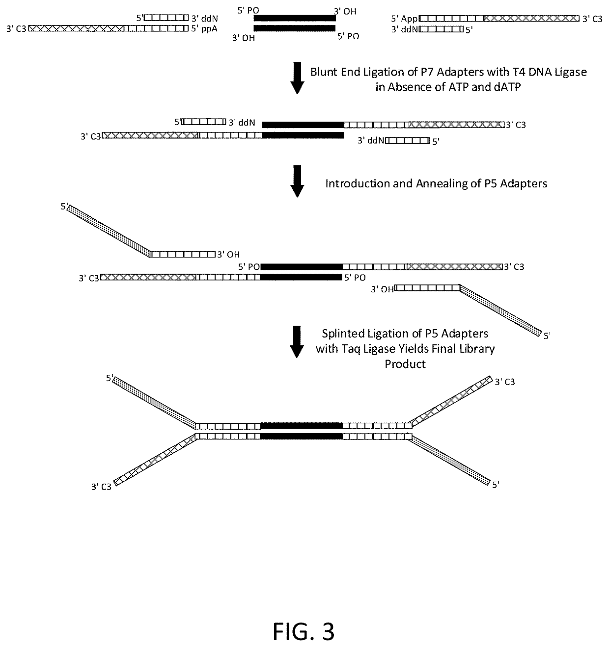 Construction of next generation sequencing (NGS) libraries using competitive strand displacement