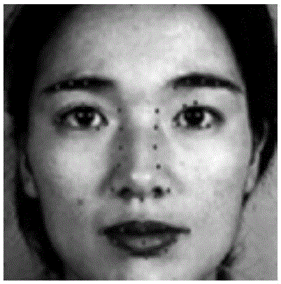 Human face emotion identifying method based on Bayes fusion sparse representation classifier