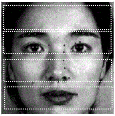 Human face emotion identifying method based on Bayes fusion sparse representation classifier