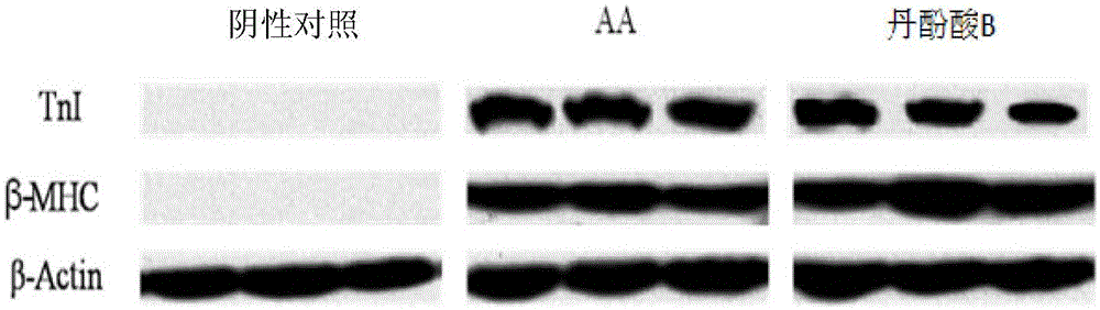 Inducing agent and medium for inducing directed differentiation of embryonic stem cells into cardiomyocytes