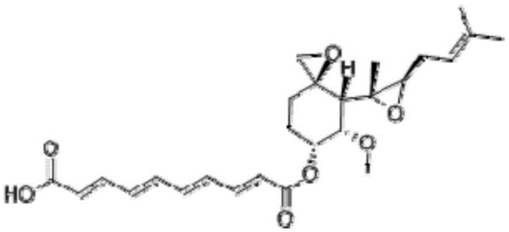 Extraction method of fumagillin