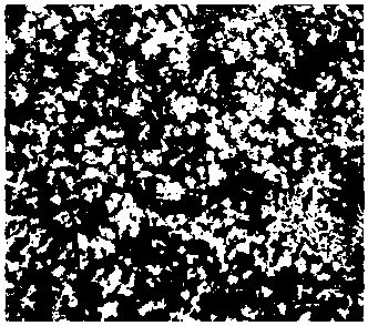 A kind of cermet alloy powder for plasma arc surfacing welding