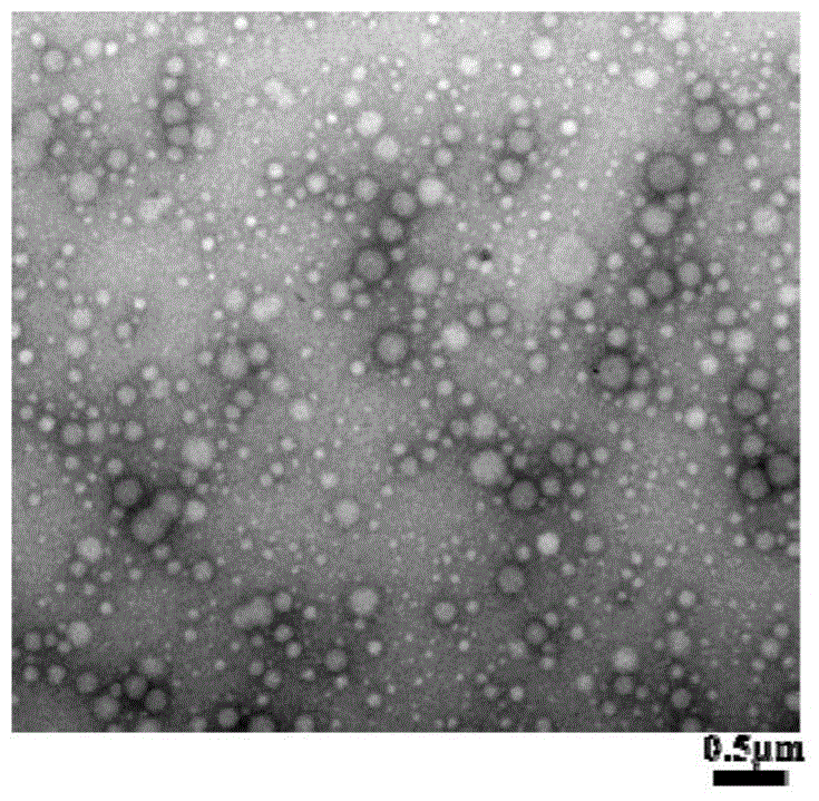 Docetaxel-loaded polyhydroxybutyrate nanoparticles and preparation method, pea lectin modification method and application