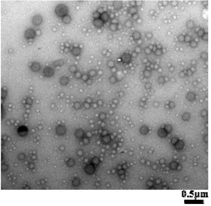 Docetaxel-loaded polyhydroxybutyrate nanoparticles and preparation method, pea lectin modification method and application