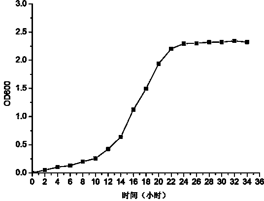 Achromobacter marplatensis and application thereof