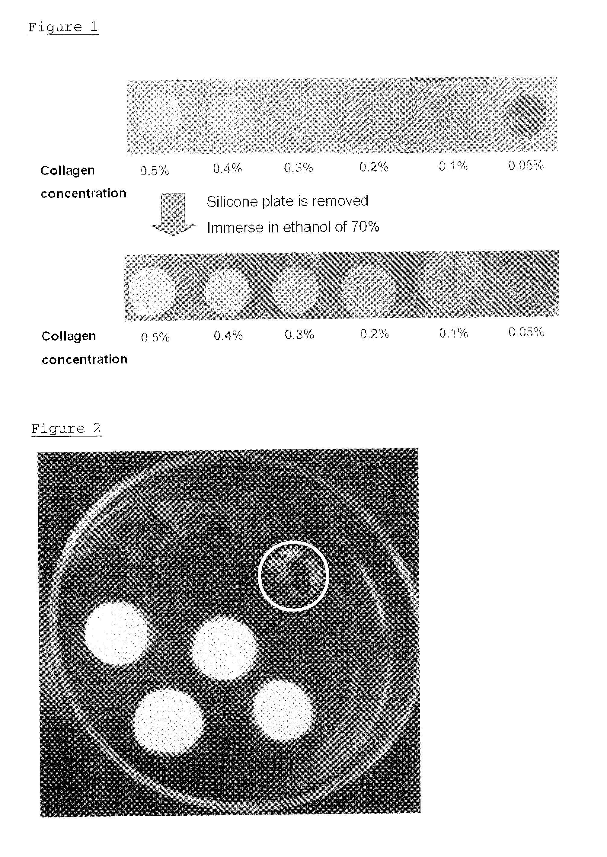 High-strength collagen fiber membrane and a manufacturing method thereof
