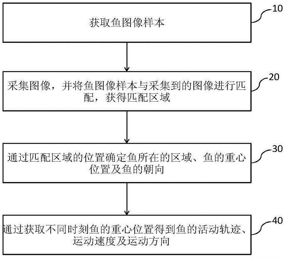 A method for recording fish activity tracks in an aquarium