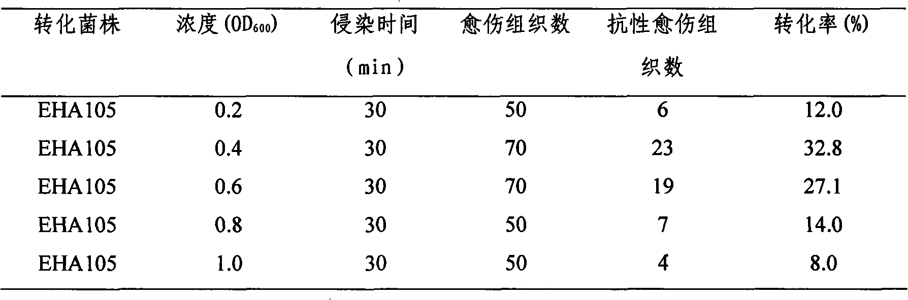 Method for preparation of plant suspension culture small cell line by interfering expansin gene Exp2
