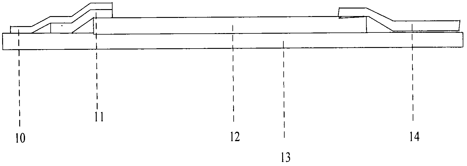 Tetragenous detection card of clenbuterol, ractopamine, salbutamol and tubertaline and preparation method thereof