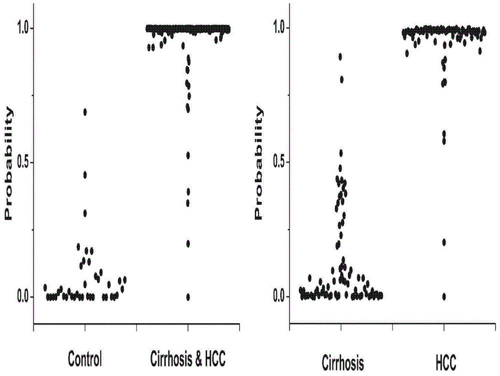Novel serum metabolite composition and application thereof as liver cancer diagnosis marker