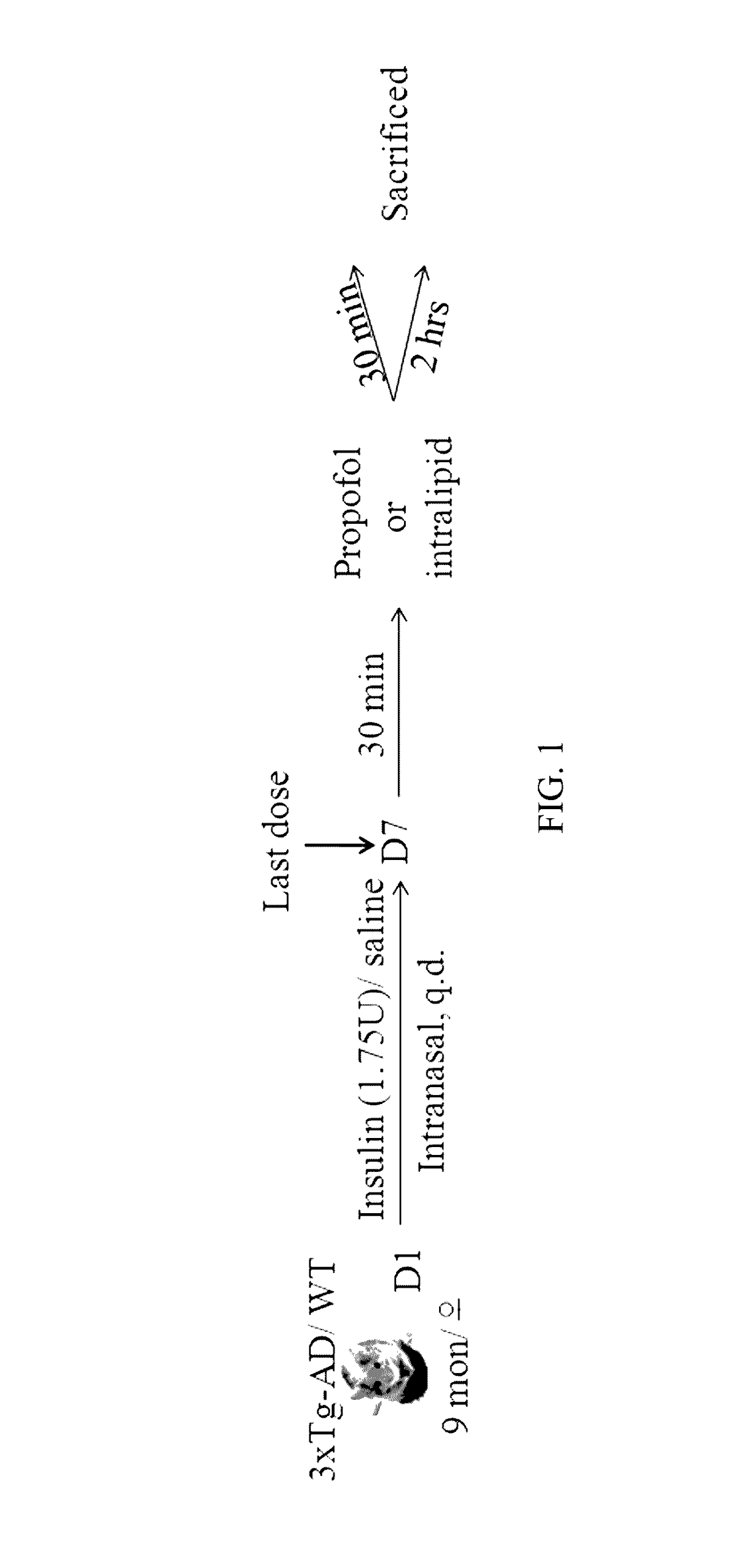 Intranasal insulin administration for the minimization of anesthesia-induced memory loss