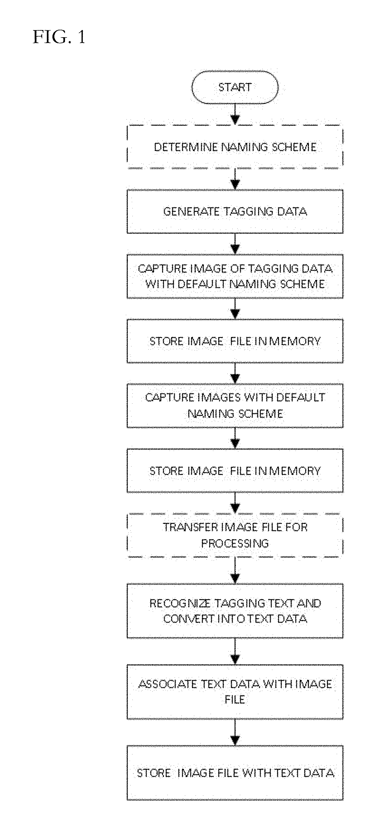 Method and system for organizing digital files