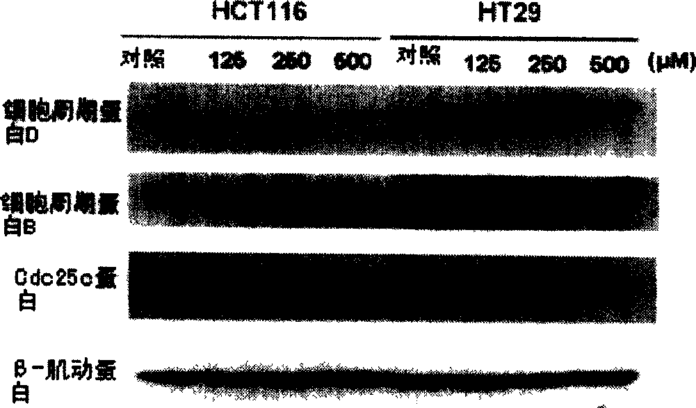 Trichostatin A derivatives, preparation method and use thereof