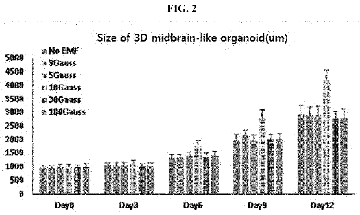 Method for efficiently producing 3D midbrain-like organoid through specific electromagnetic wave processing