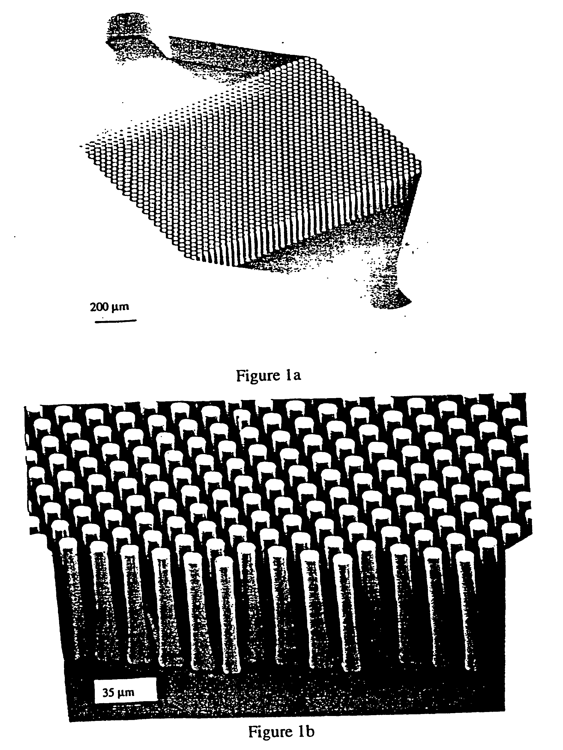 Device and method for the manipulation of a fluid sample