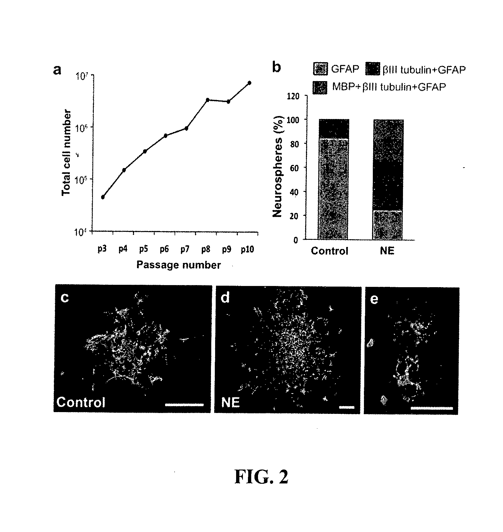 Neuronal stimulation