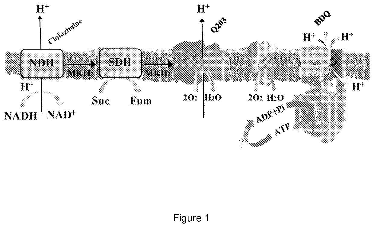 Compounds for treating tuberculosis