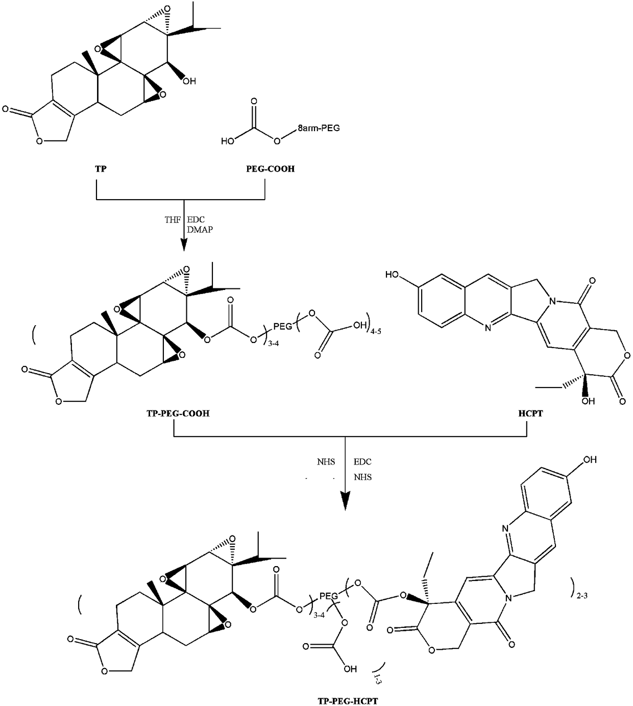 Triptolide-multiarm polyethylene glycol-hydroxycamptothecine binder nanoparticle and preparation method thereof