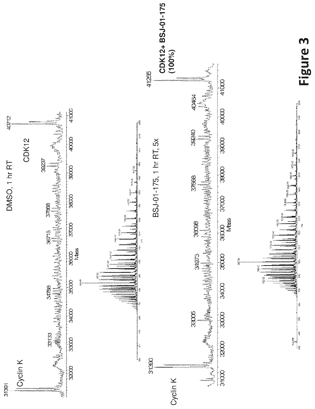 Inhibitors of cyclin-dependent kinase 12 (CDK12) and uses thereof