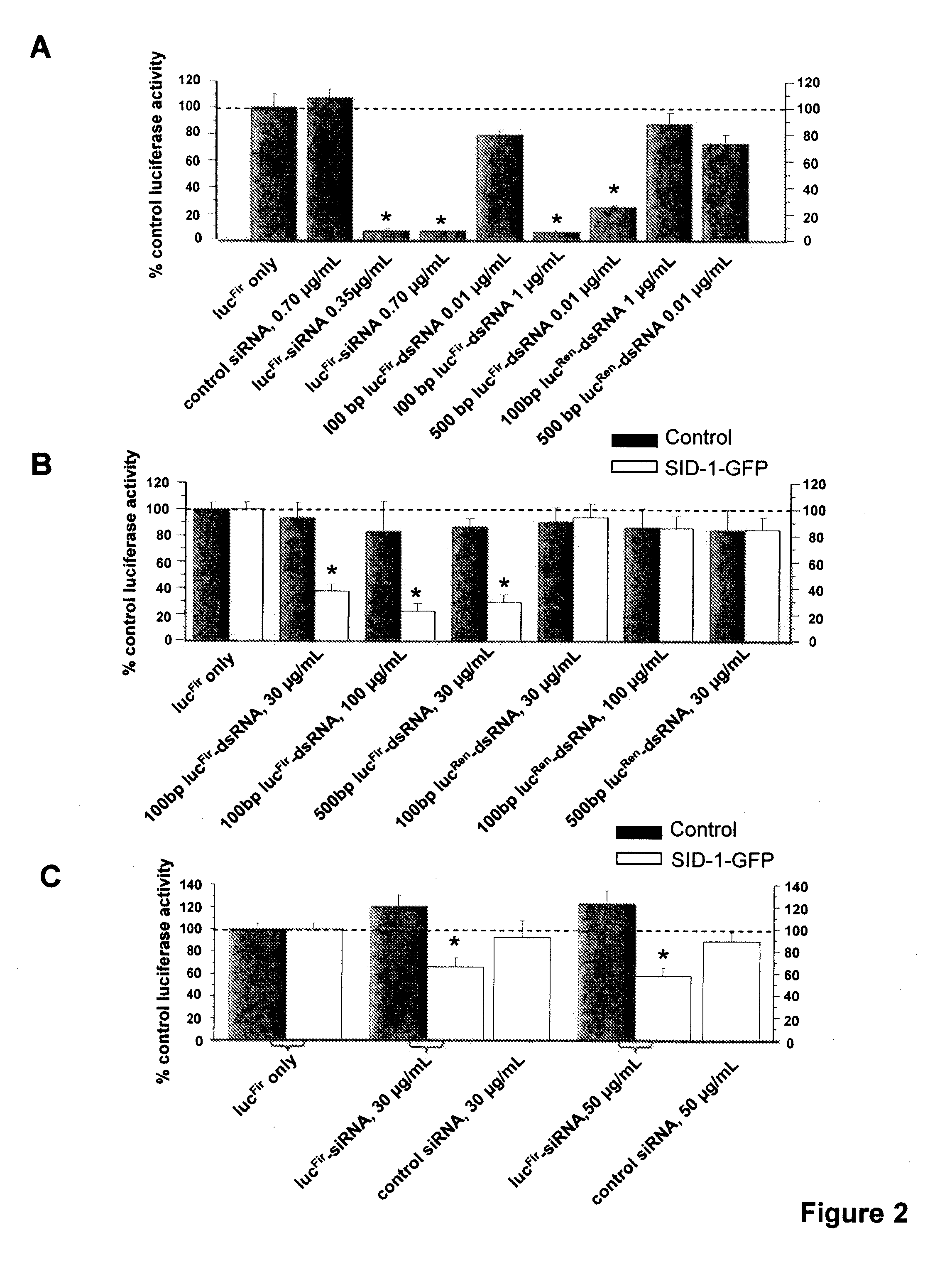 Recombinant eukaryotic cells stably expressing (sid-1) proteins for high throughput gene screening