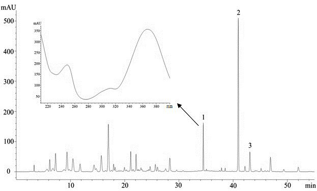 Chromatographic analysis method of dehydroevodiamine