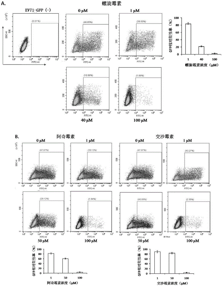 Application of macrolide antibiotics or medical salt thereof to preparation of medicine for resisting to hand-foot-and-mouth disease