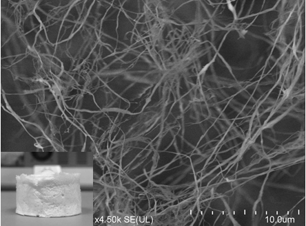 A method for preparing carbon nanofiber airgel from plant fibers