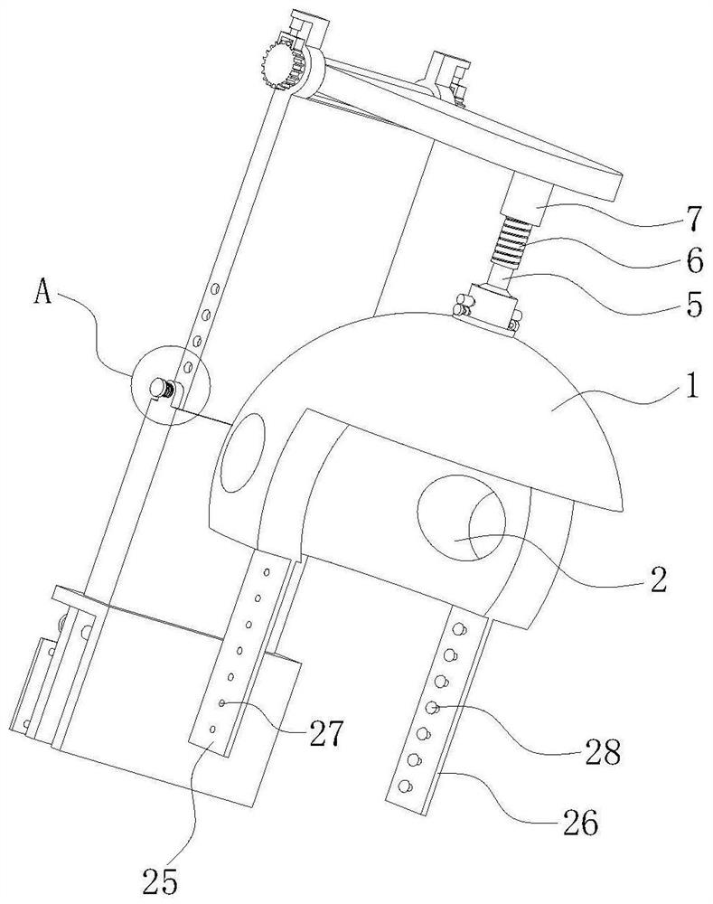 Fixing device for auditory meatus examination