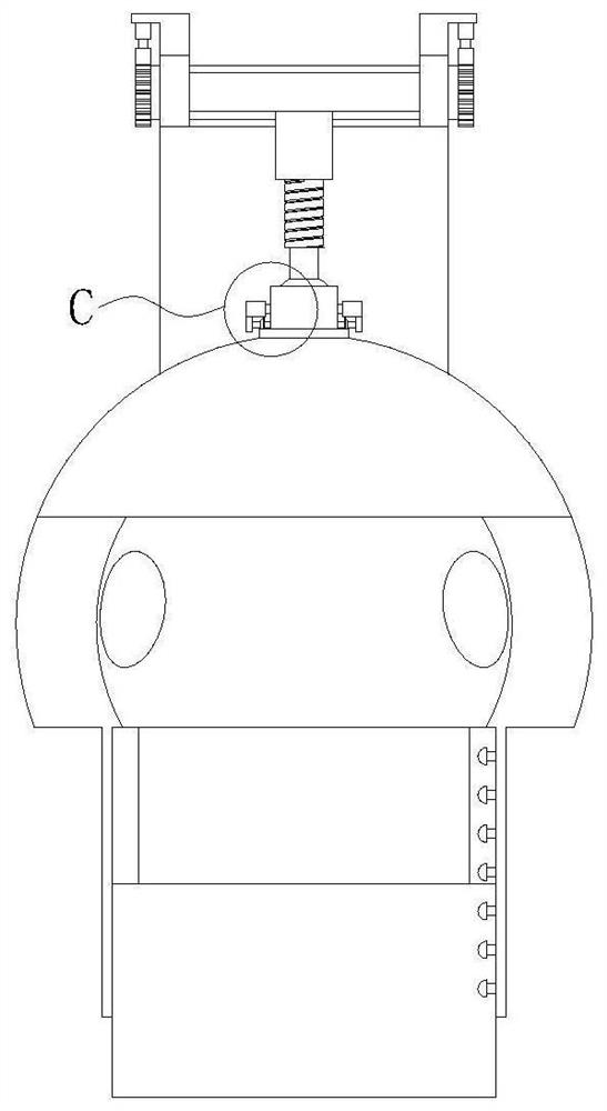 Fixing device for auditory meatus examination