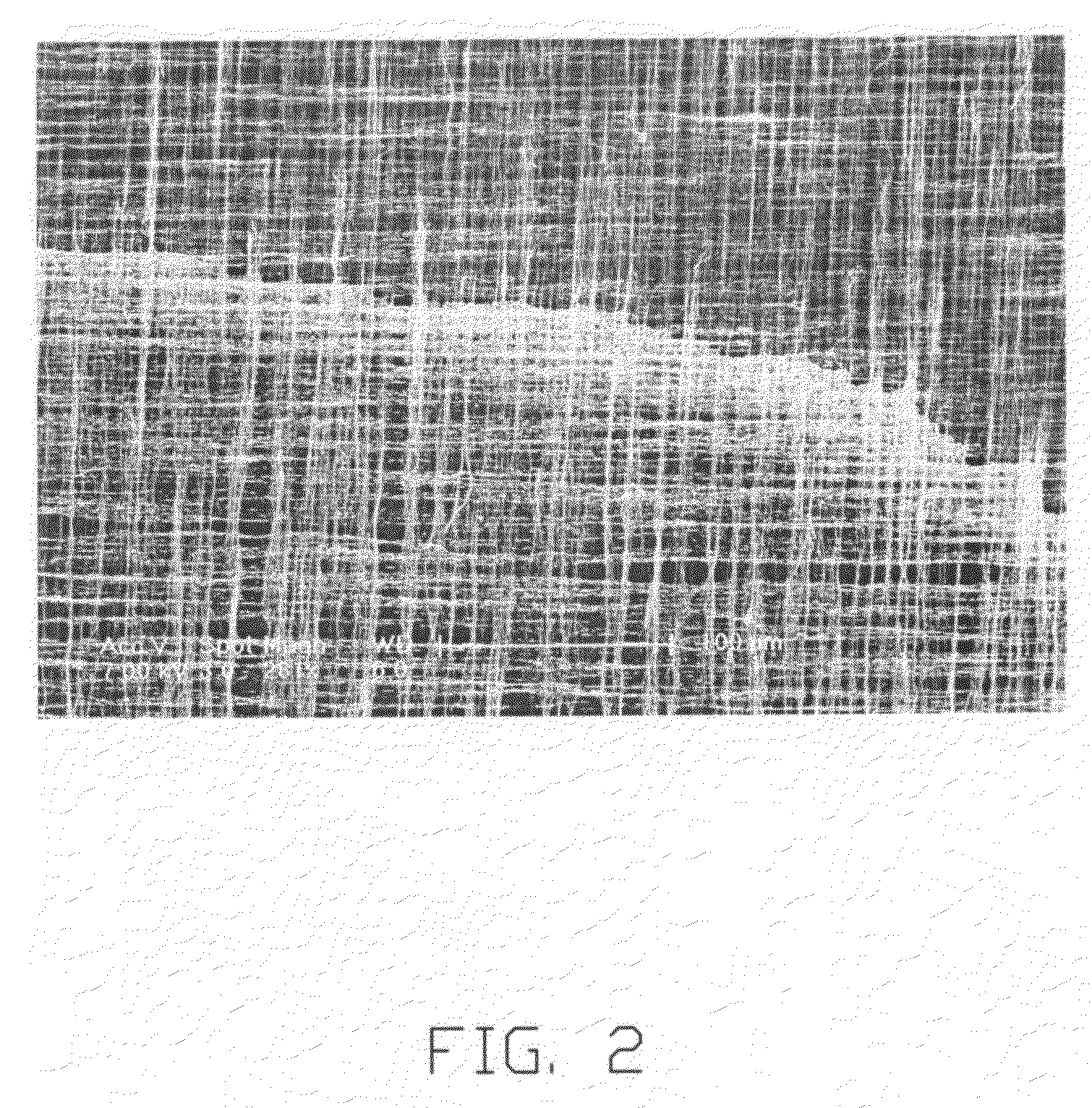 Carbon nanotube film structure and method for fabricating the same