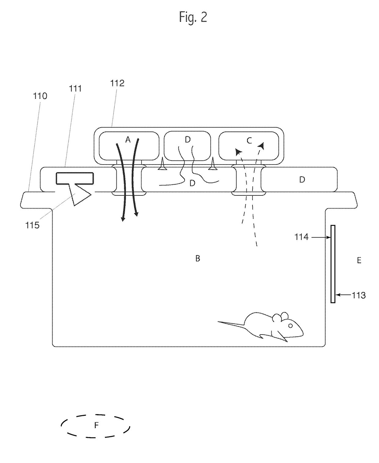 Animal monitoring device and method