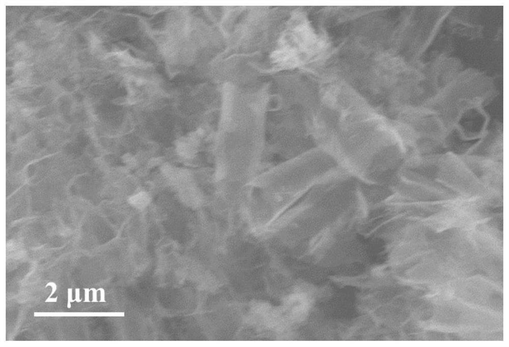 PDDA protonated graphite phase carbon nitride, preparation method and application thereof