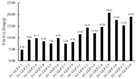 A kind of recombinant engineering bacteria expressing semaglutide precursor and its construction method