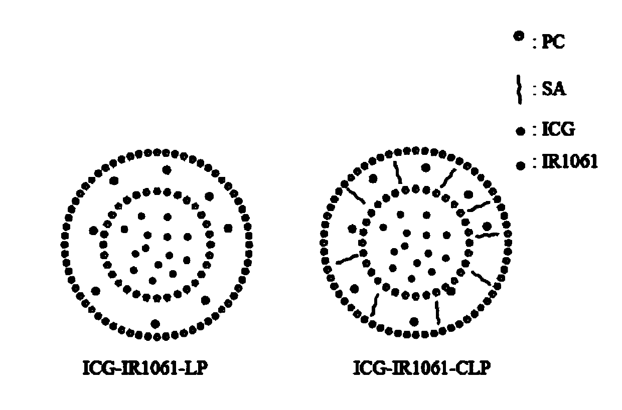 NIR-II fluorescence enhancement liposome and preparation method and application thereof