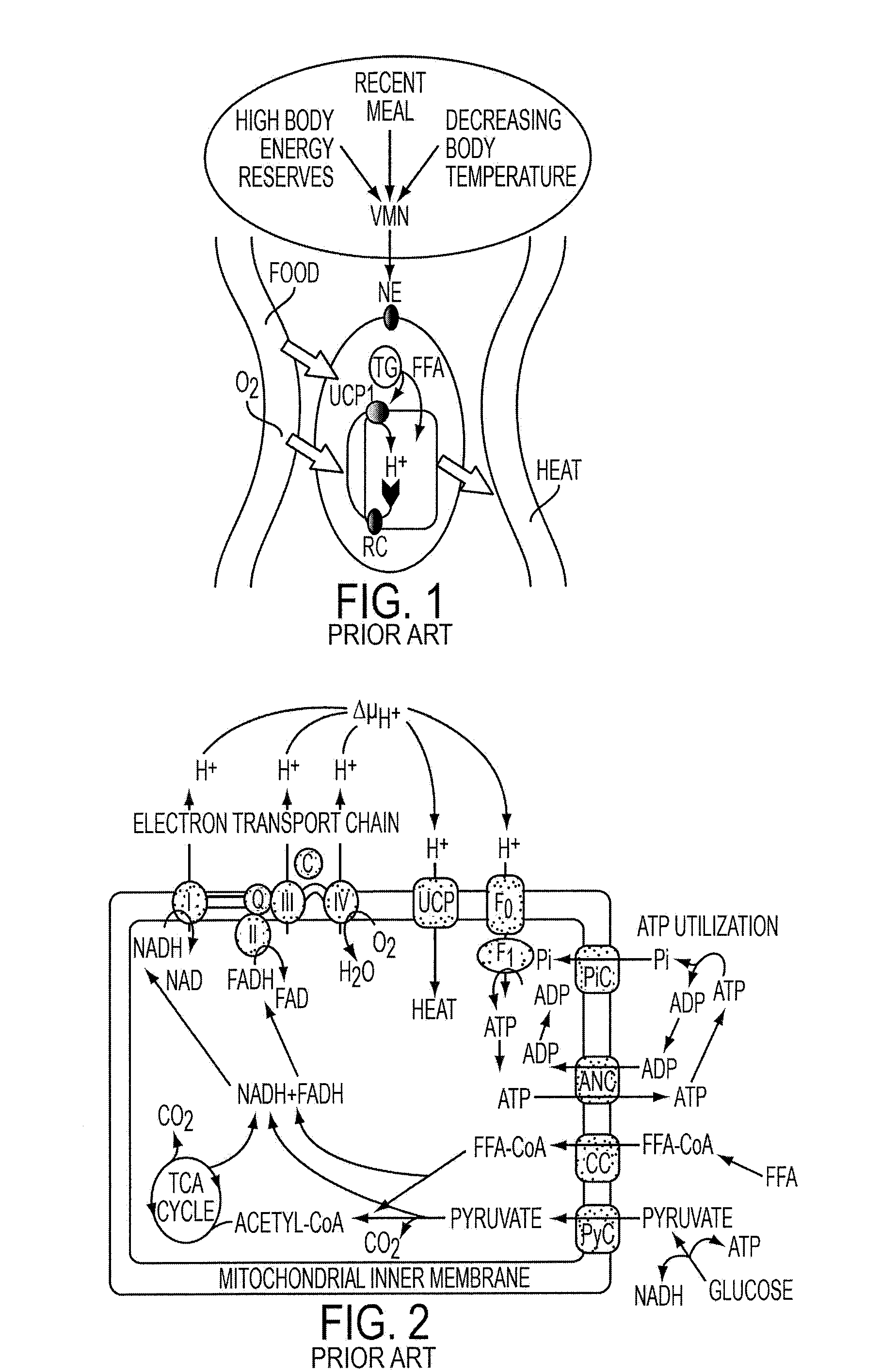 Methods and devices for activating brown adipose tissue using electrical energy