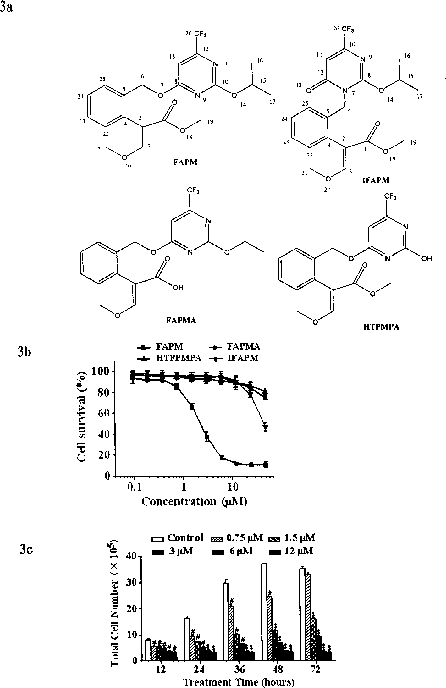 Medicine use of beta-methoxy acrylic ester compounds as novel STAT3 restrainer