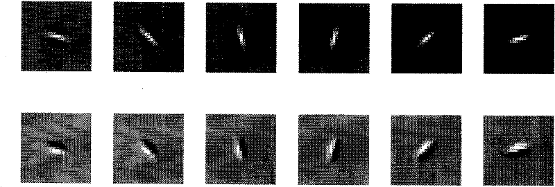 Multi-scale segmentation method for remote sensing image with boundary maintenance characteristics