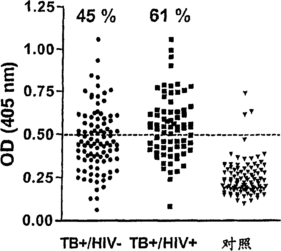 Tuberculosis vaccines comprising antigens expressed during the latent infection phase