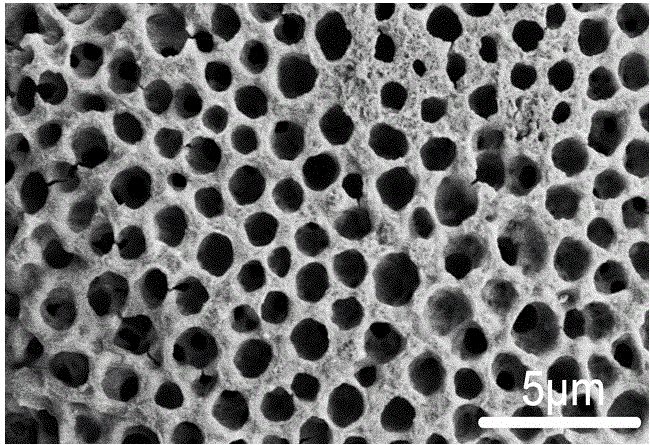 Preparation method of stereocomplex polylactic acid porous membrane material