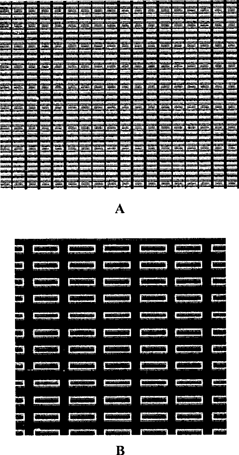 Bionic dermis as well as preparation method and application thereof