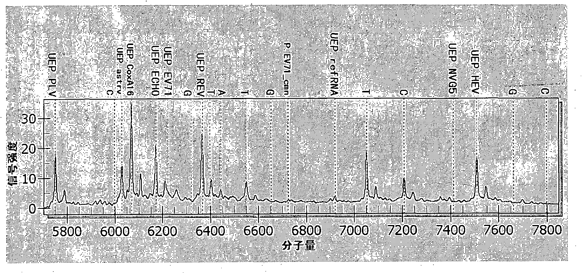 Method for detecting digestive tract pathogens