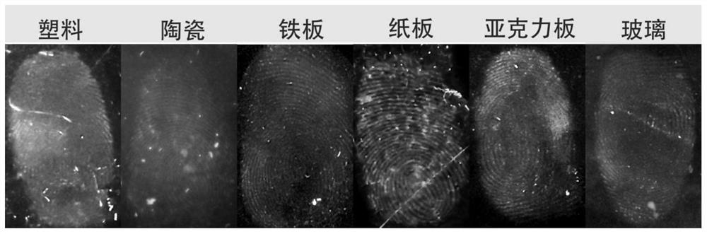 Fluorescent dye probe for latent fingerprint detection as well as preparation method and application of fluorescent dye probe