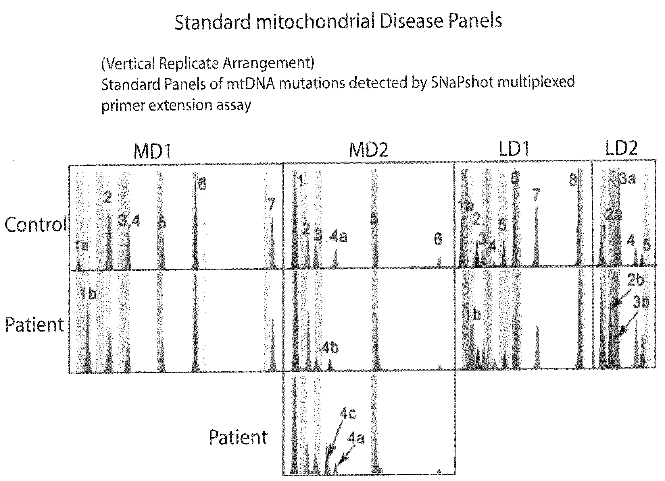 Mitochondrial DNA variants associated with metabolic syndrome