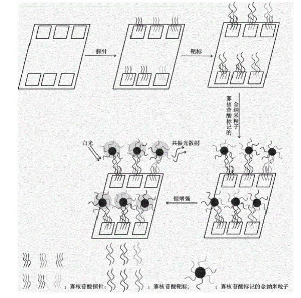 Method for detecting Type 2 diabetes related mononucleotide polymorphism by using DNA (deoxyribonucleic acid) microarray chip