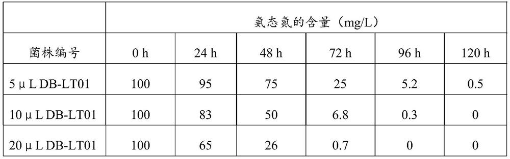 A kind of Zhaodong Pseudomonas strain and its application